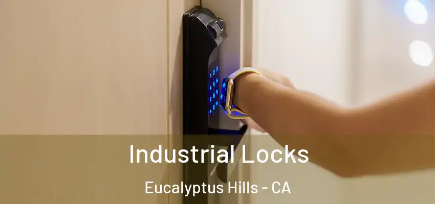  Industrial Locks Eucalyptus Hills - CA