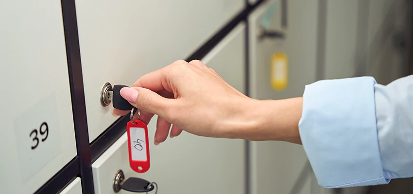 Cabinet Lock Installation in Eucalyptus Hills, California