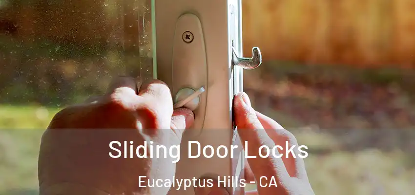  Sliding Door Locks Eucalyptus Hills - CA